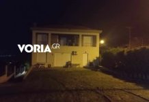 Θεσσαλονίκη: Κακουργηματική δίωξη σε βάρος του ιδιοκτήτη των τριών σκύλων που κατασπάραξαν 50χρονη