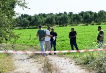 Άρειος Πάγος: Πειθαρχικός έλεγχος των δικαστών που άφησαν ελεύθερο τον δολοφόνο της 11χρονης στην Ηλεία