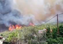 Πυρκαγιά σε εξέλιξη στη Λέσβο – Μέσα σε αυτοκίνητο εντοπίστηκε απανθρακωμένο ένα άτομο