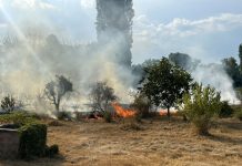 Κρήτη: Πυρκαγιά στον Προφήτη Ηλία Ηρακλείου – Μήνυμα από το 112 στους κατοίκους