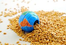 FAO: Σε υψηλό 18 μηνών οι τιμές τροφίμων παγκοσμίως