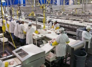 ΡΜΙ: Επιτάχυνση της επιχειρηματικής δραστηριότητας στην ευρωζώνη